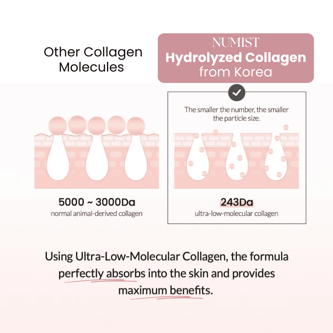 Collagen Jelly Cream: 24-Hour Firming & Hydrating